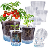Bluepro self watering pots 4-inch clear model with tray