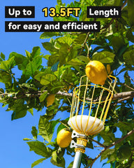 BlumeTrec Fruit Picker in use picking apples from a tree