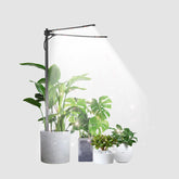 bodkar Plant Grow Light dual-head design front view