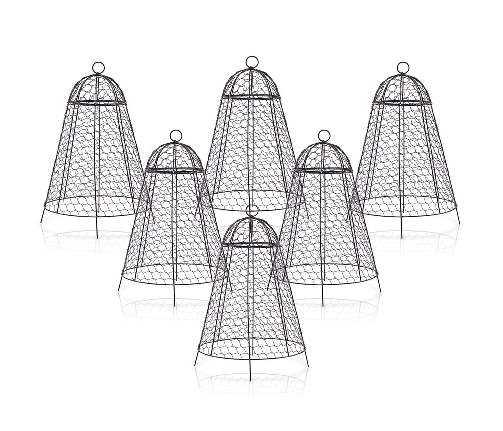 boldworks Garden Cloches black steel cloche front view