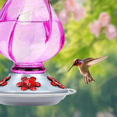 BOLITE Hummingbird Feeder with nectar inside