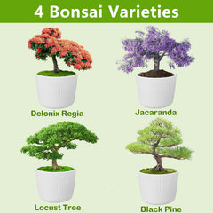 Bonsai clipper and gardening tools from the LUOJIBIE kit