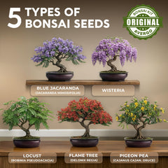 Bonsai tools included in AVERGO Bonsai Tree Kit