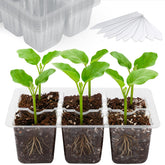 Bonviee 10-Pack Seed Starter Trays with 60 XL cells, clear design