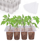 Bonviee 12-Pack Seed Starter Trays clear design front view
