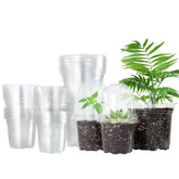 Bonviee 3.5 inch clear nursery pot with humidity dome