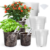 Bonviee clear nursery pots 4-inch pack front view