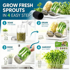 Boombamo sprouting jar tray collecting excess water