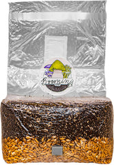 Booming Acres Mushroom Grow Bag with instructions on a table