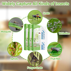 Boromine fly traps showing packaging and contents