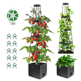 BOTINDO Tomato Planter 57 inch with trellis black