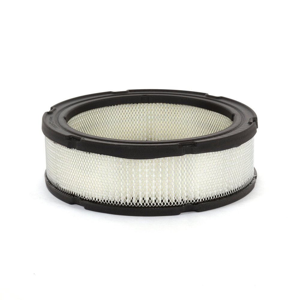 Briggs & Stratton 394018S Air Filter Cartridge front view