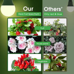 Briignite A19 grow light bulb in E26 base fitting