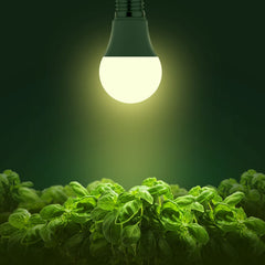 Briignite A19 grow light bulb packaging