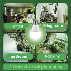 Briignite Grow Light Bulb packaging and specifications