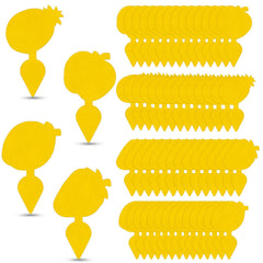 Briteen fruit fly traps in pineapple design front view
