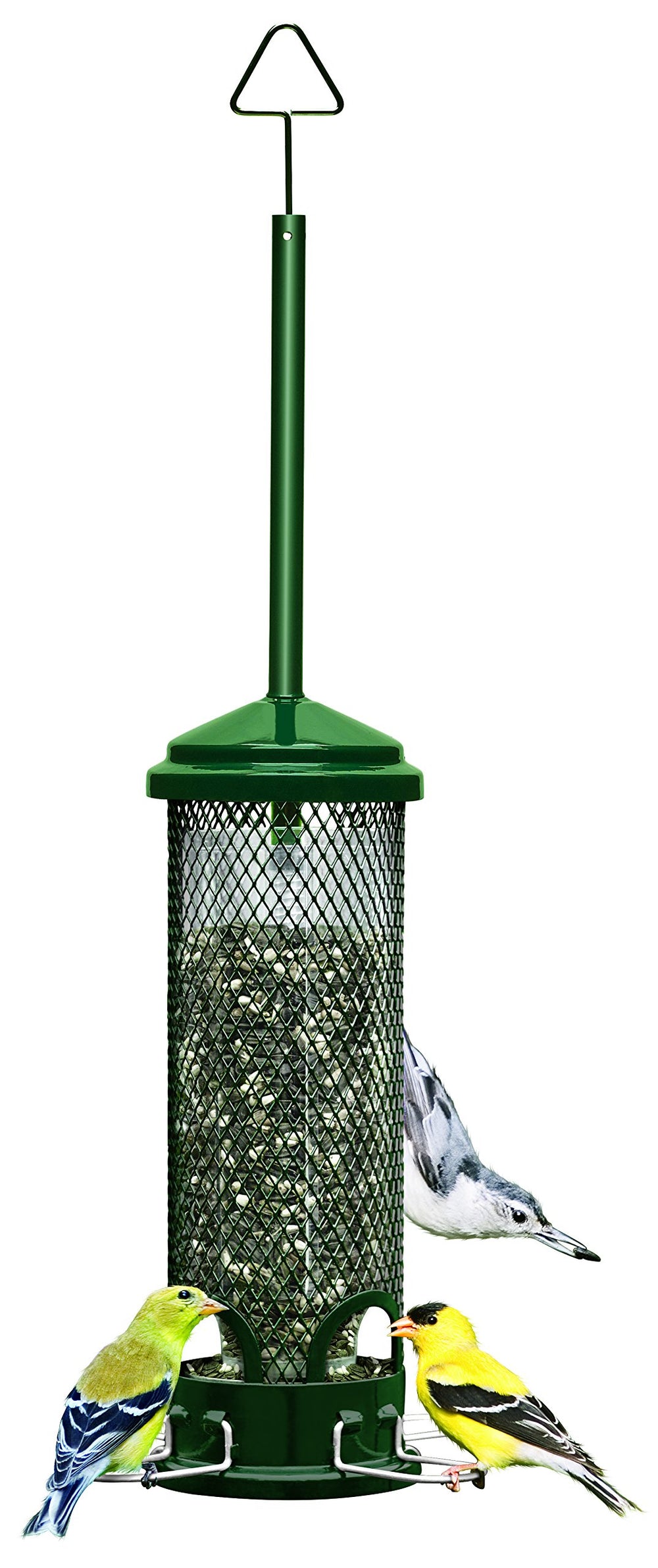 Brome Squirrel Buster Mini Bird Feeder in garden green front view