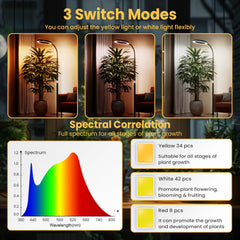 bseah Grow Light with automatic timer settings displayed