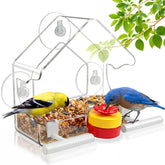 BTFSZ Window Bird Feeder with flower-shaped hummingbird feeder attached