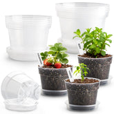 BTPLASTIK 10 inch clear plant pot with saucer