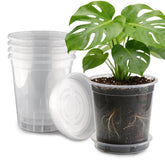BTPLASTIK 2.5 Gallon clear nursery pot front view with saucer