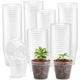 BTPLASTIK 200 Pack clear nursery pots front view