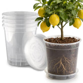 BTPLASTIK 3.5 Gallon clear nursery pot front view