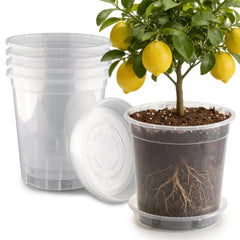 BTPLASTIK 3.5 Gallon clear nursery pot front view