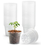 BTPLASTIK 3 inch clear nursery pots front view