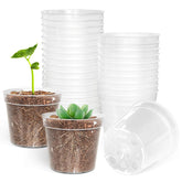 BTPLASTIK 50 pack 2.5 inch clear nursery pots front view