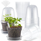 BTPLASTIK 6 inch clear nursery pot with humidity dome and saucer