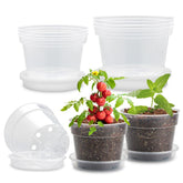 BTPLASTIK clear nursery pots 8 inch with matching tray