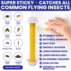 BugBane Fly Stick Sticky Fly Trap open-faced box