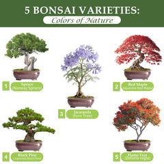Burlap pots included in the ROOTCRAFT Bonsai Tree Kit