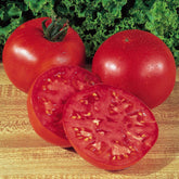 Burpee Big Boy Tomato Seeds packet front view with red tomato image