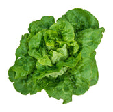 Burpee Buttercrunch Hybrid Organic Lettuce Seeds packet front view