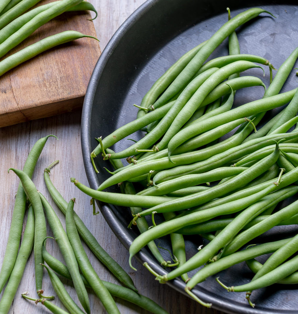 Burpee French Filet Bush Bean Seeds 2 oz packaging front view