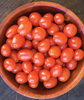 Burpee Napa Grape Tomato Seeds packet front view