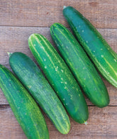 Burpee Straight Eight Cucumber Seeds packet front view