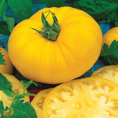Burpee Sunny Boy Hybrid Tomato Seeds front view