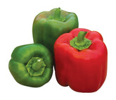 Burpee Sweet Candy Apple Hybrid Bell Pepper Seeds packet front view with 30 seeds
