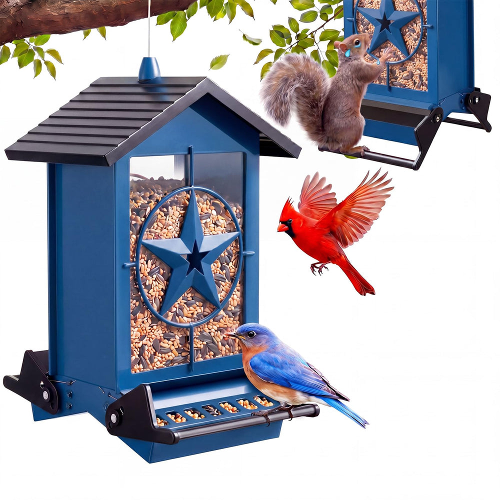 Buteafly Squirrel Proof Bird Feeder front view, blue model with decorative star