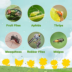Butterfly shape yellow sticky trap by Mosqueda
