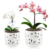 BUYMAX 5 inch ceramic orchid pot with saucer
