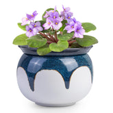 BUYMAX 6 inch white-blue self-watering pot front view