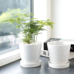 BUYMAX ceramic flower pot set displayed with small plants