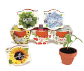 BUZZY Daydream Grow Kit 6-Pack with mini terracotta pots and assorted flower seeds