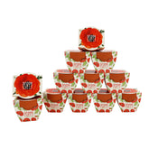 BUZZY Poppy Grow Kit with mini terracotta pots and seeds