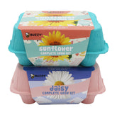 BUZZY Sunflower & Daisy Grow Kit packaging with pots and seeds