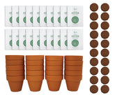 BUZZY Sunflower Grow Kit with mini terracotta pots